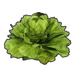 Lettuce - Palworld Food