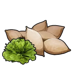 Lettuce Seeds - Palworld Material